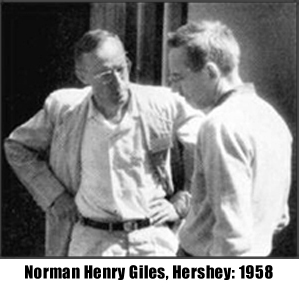 Norman Henry Giles, Hershey 58